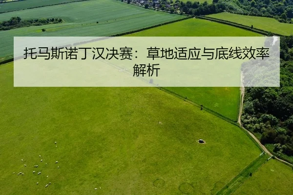 托马斯诺丁汉决赛：草地适应与底线效率解析